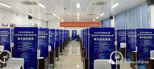 衡水市武邑職教中心教師在河北省電子信息服務業職業技能大賽中榮獲佳績，彰顯信息電子技術服務專業實力